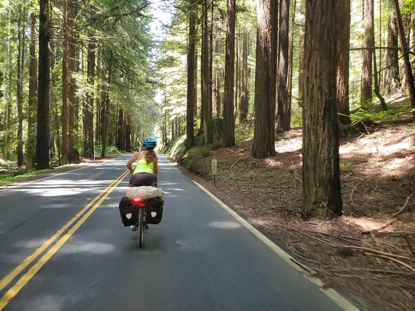 Redwood Biking