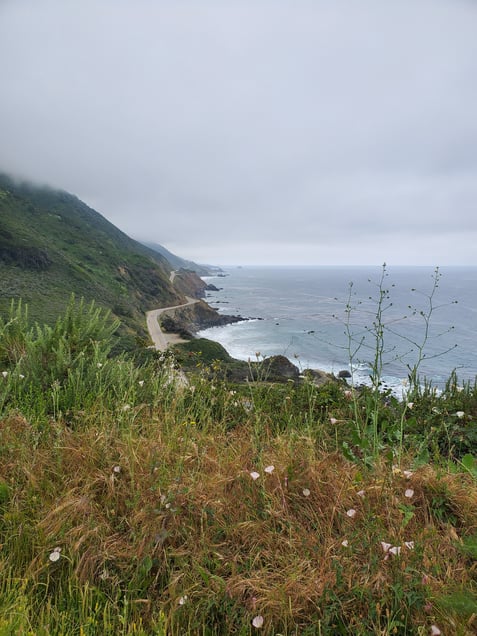 Buck Big Sur