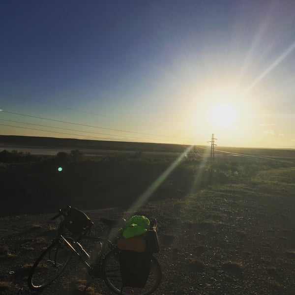 Sunset Pampas